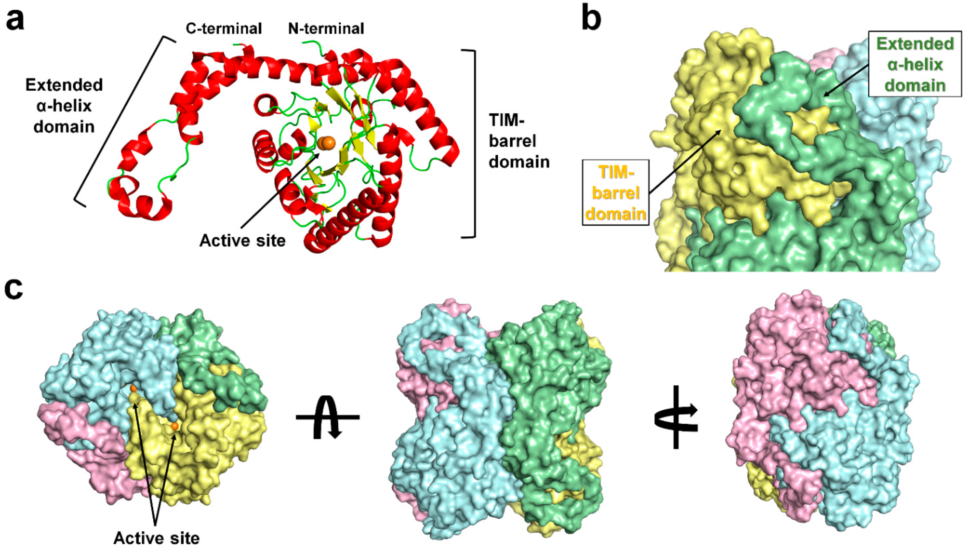 Applsci 12 00428 g003 Applsci 12 00428 g003