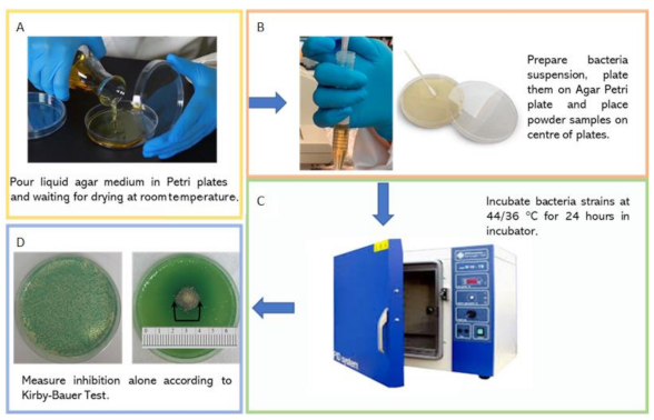 Applsci 12 00434 g001