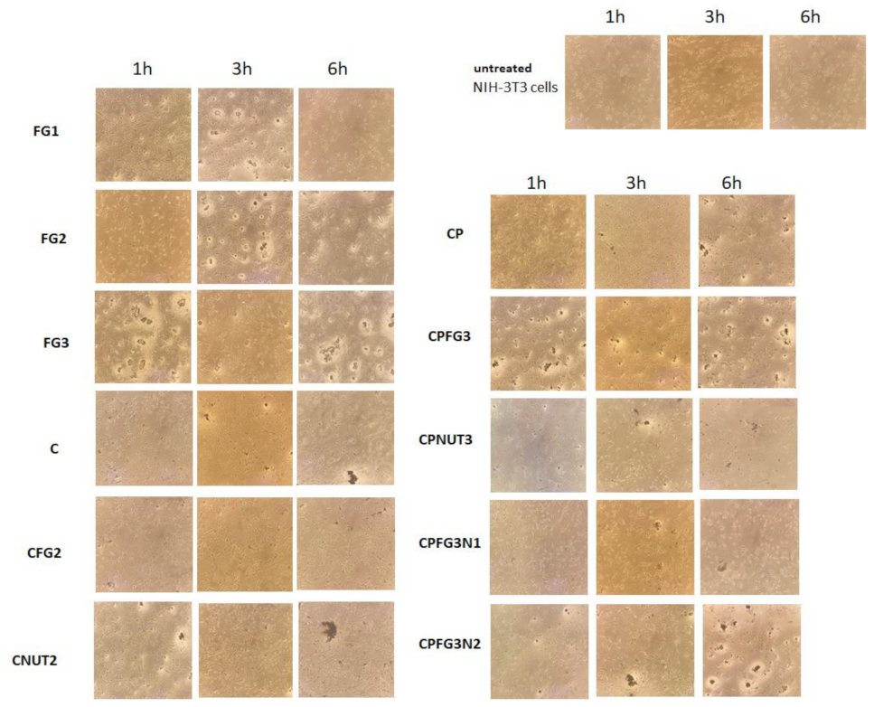 Applsci 12 00434 g010