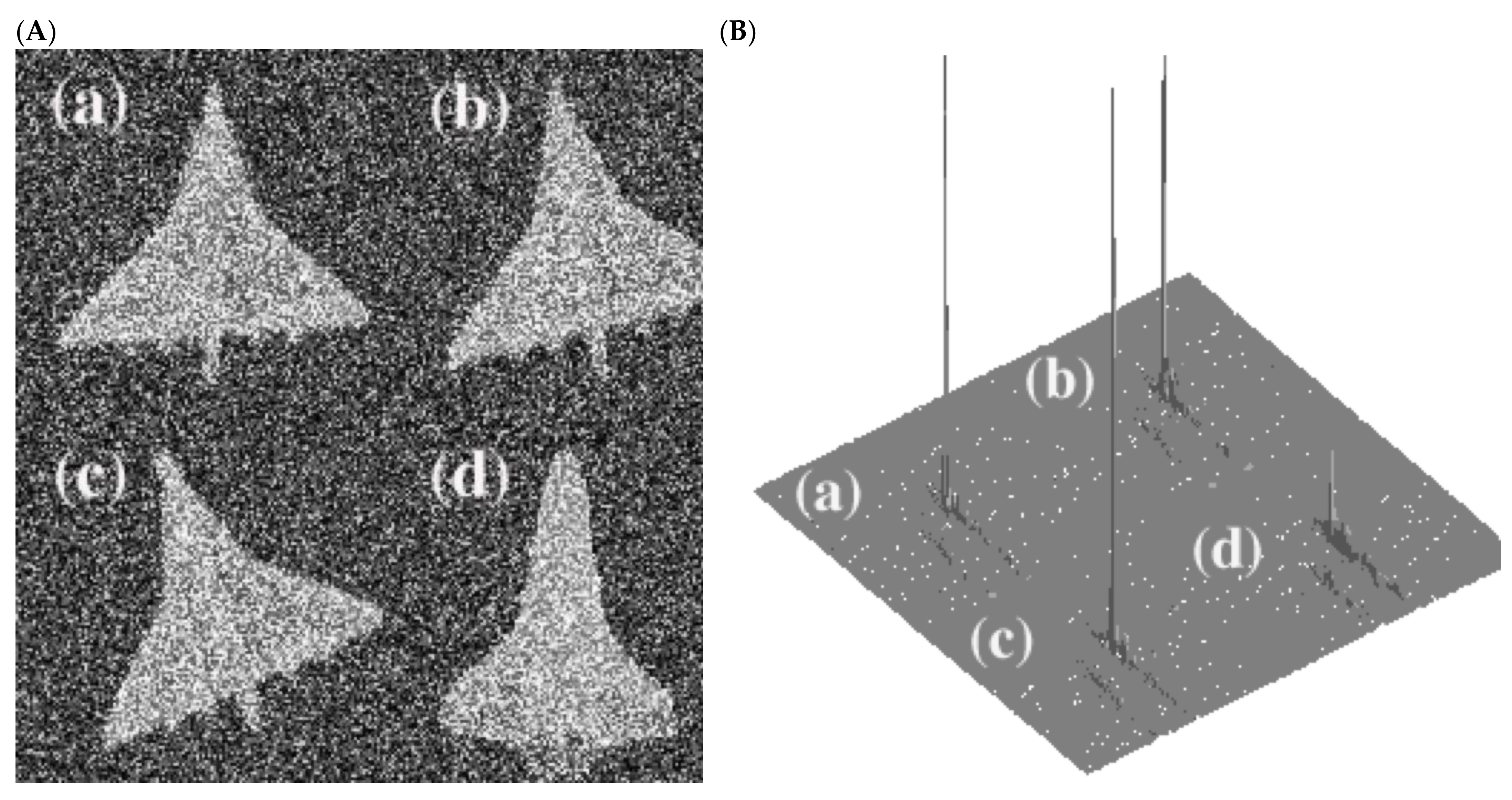 Applsci 12 00439 g006