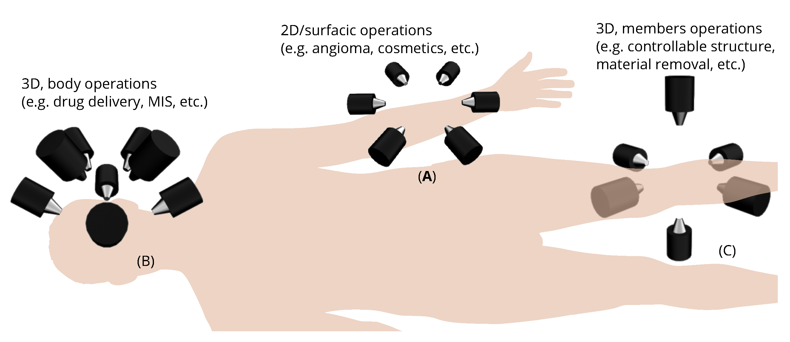 Applsci 12 00456 g001