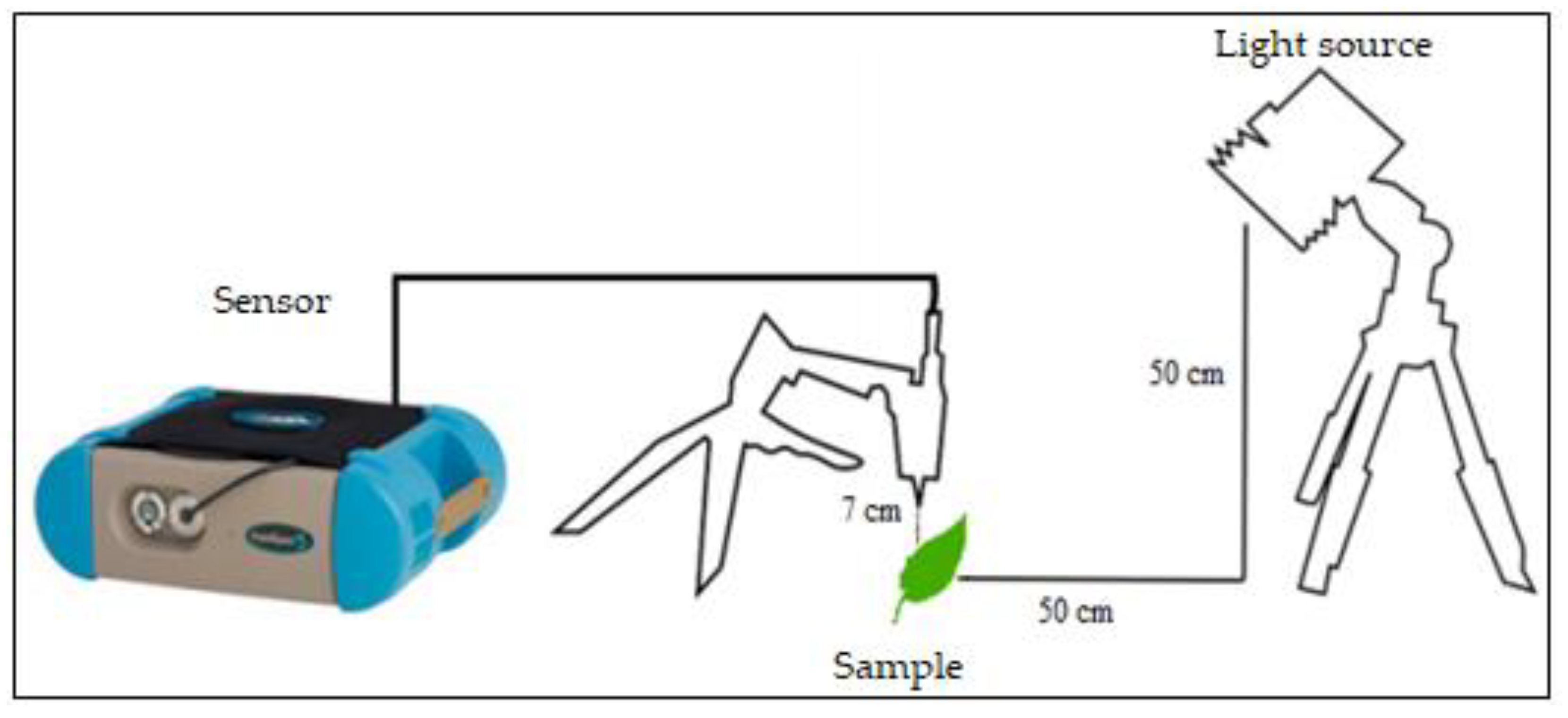 Applsci 12 00458 g003