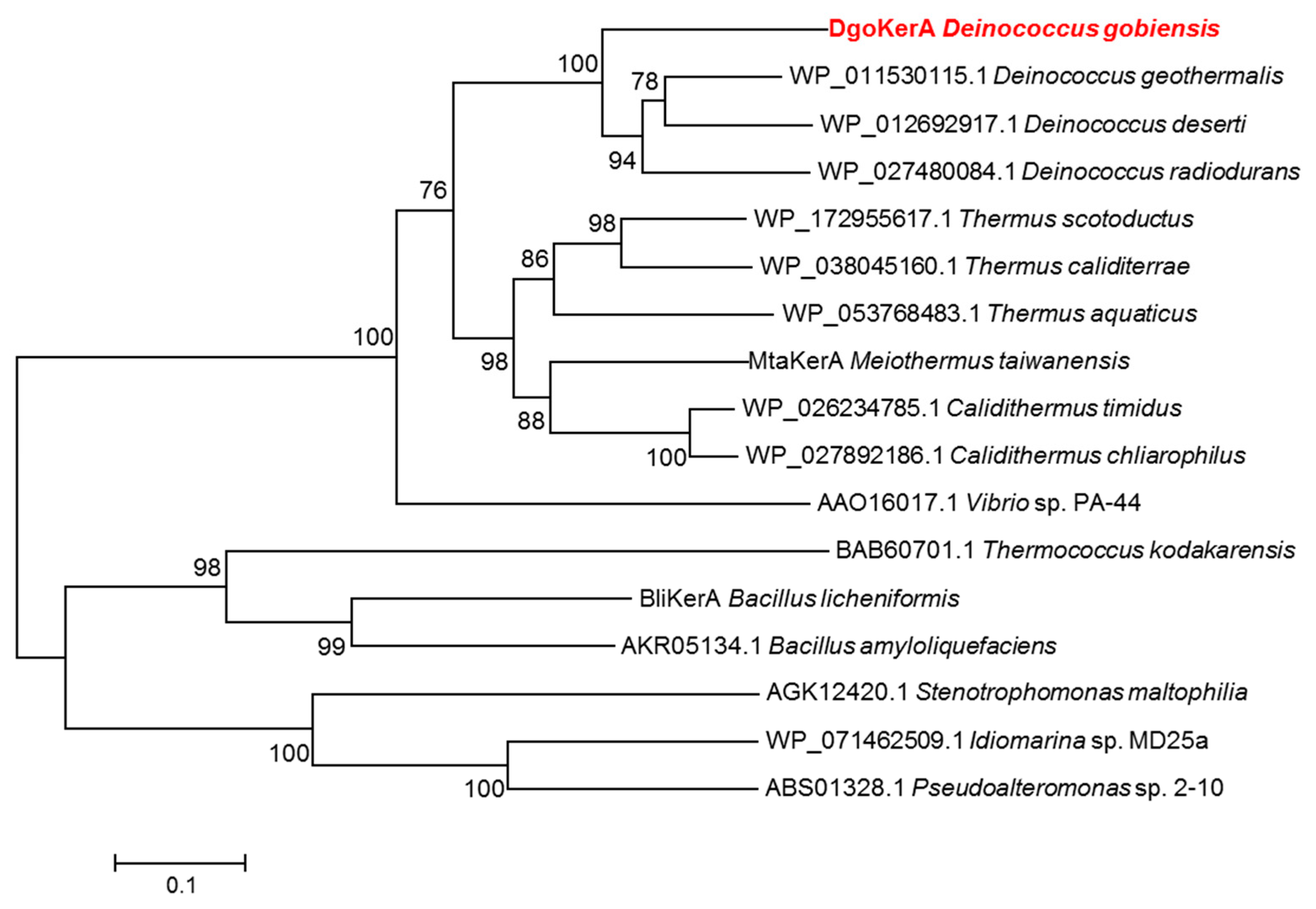 Applied Sciences | Free Full-Text | Molecular Identification of 