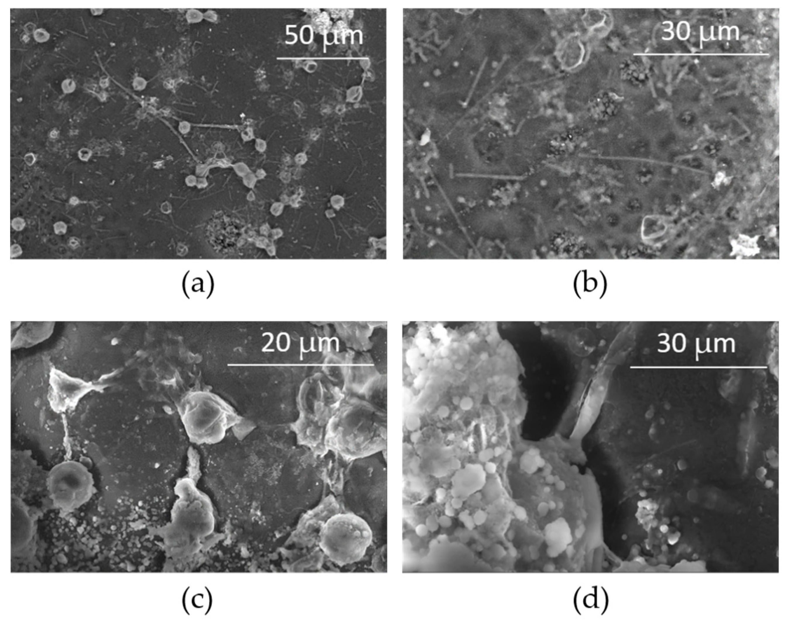 Applsci 12 00466 g007 550