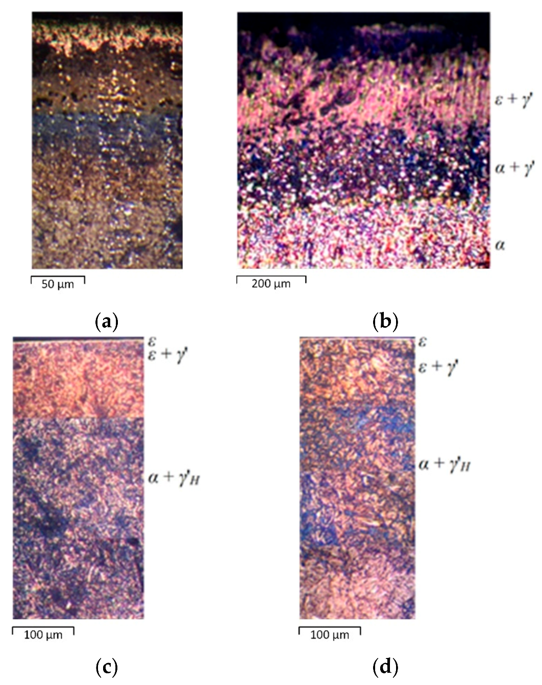 Applsci 12 00469 g001