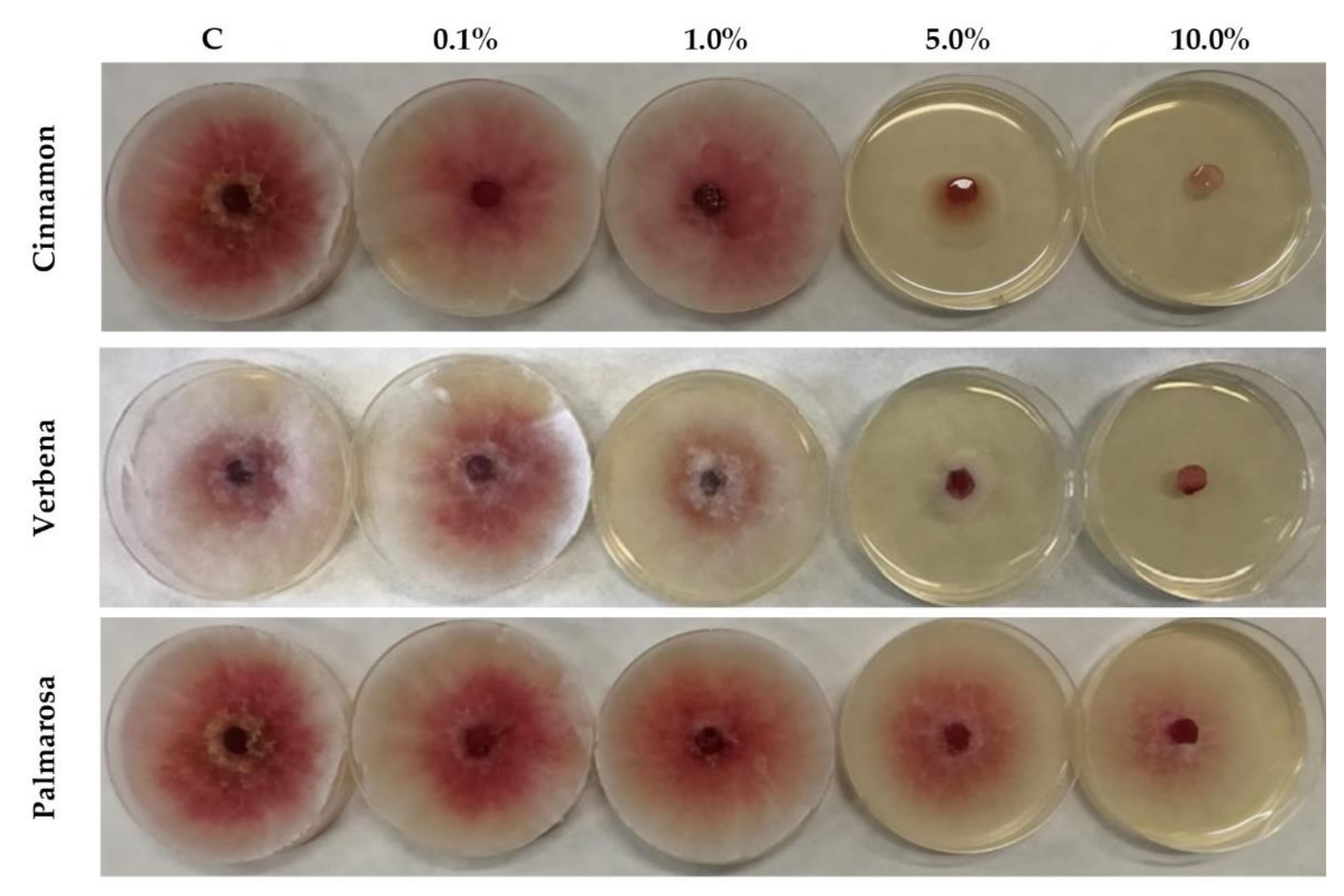 Applsci 12 00473 g001 Applsci 12 00473 g001