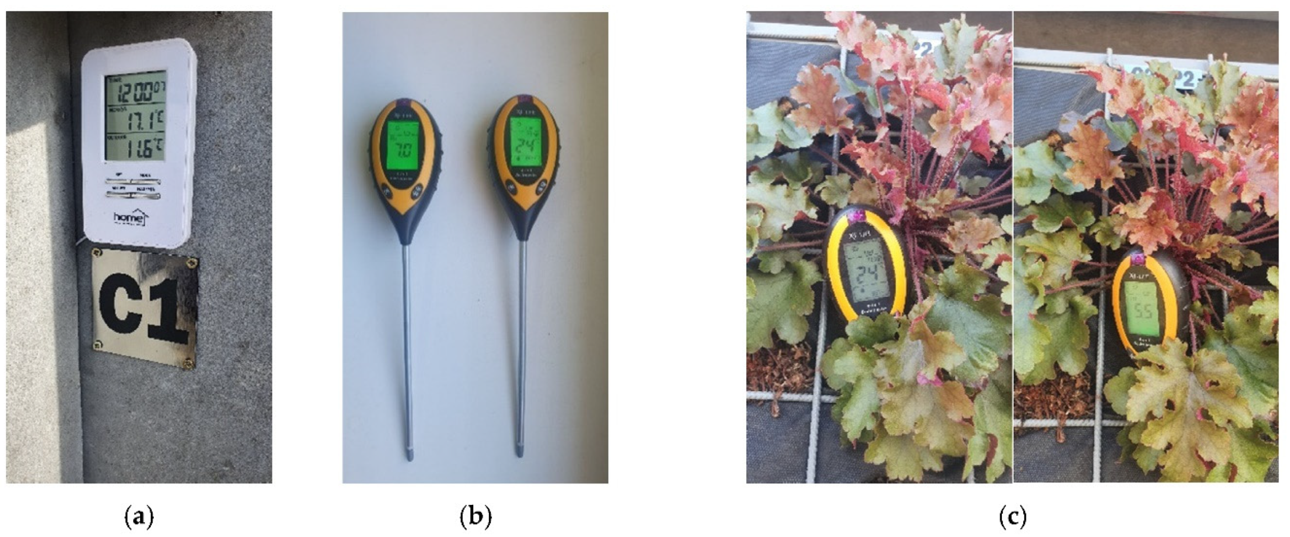 Applsci 12 00474 g004