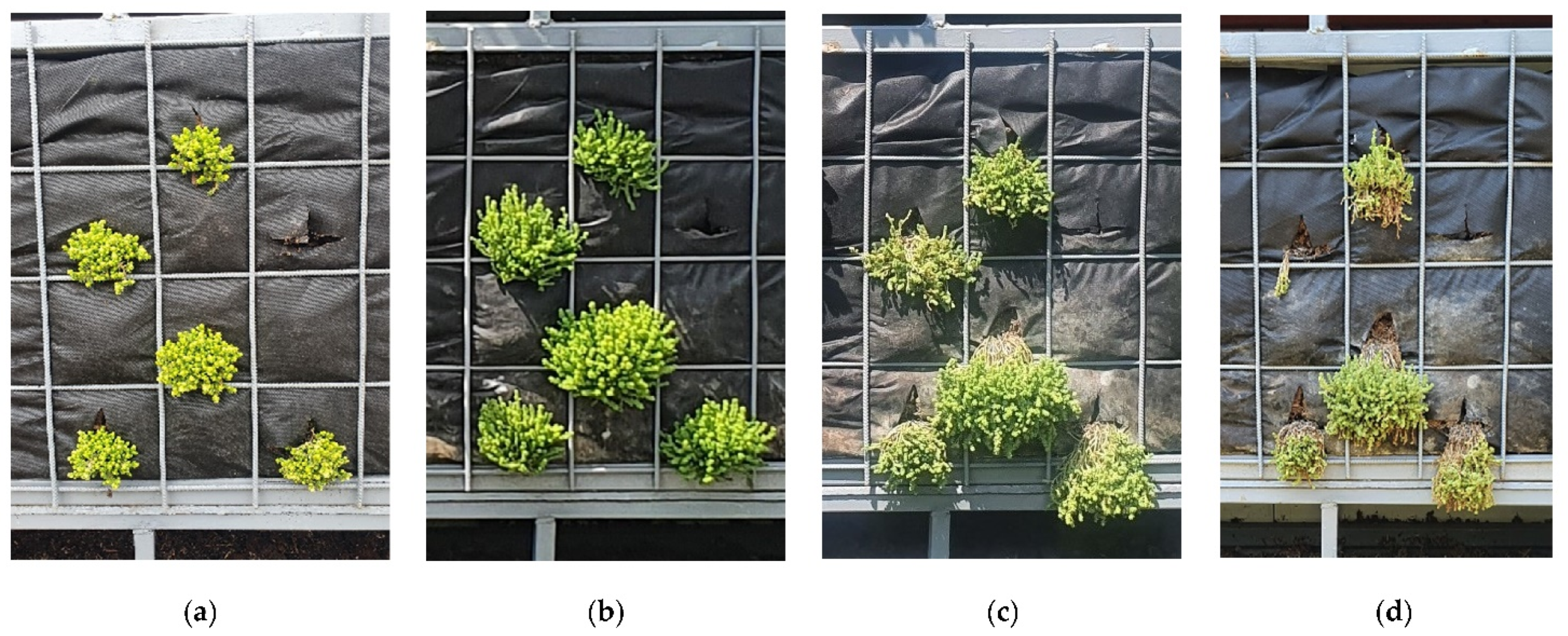 Applsci 12 00474 g007