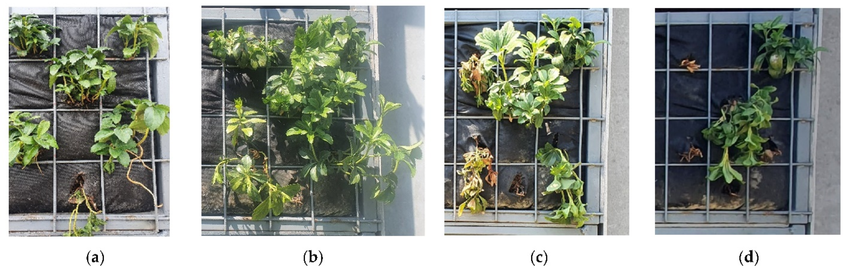 Applsci 12 00474 g008