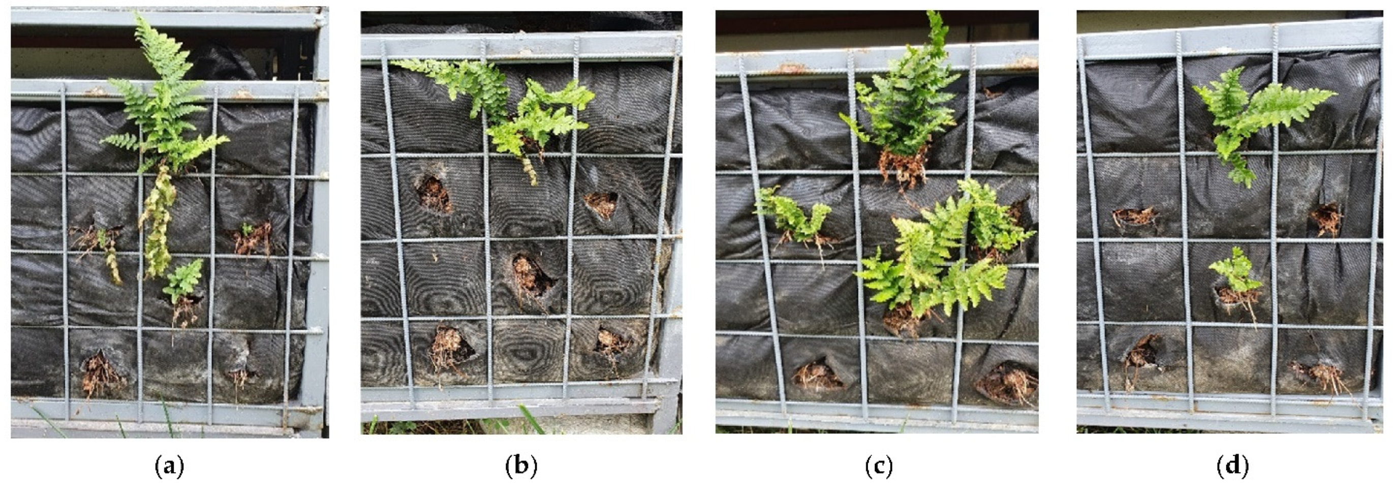 Applsci 12 00474 g009