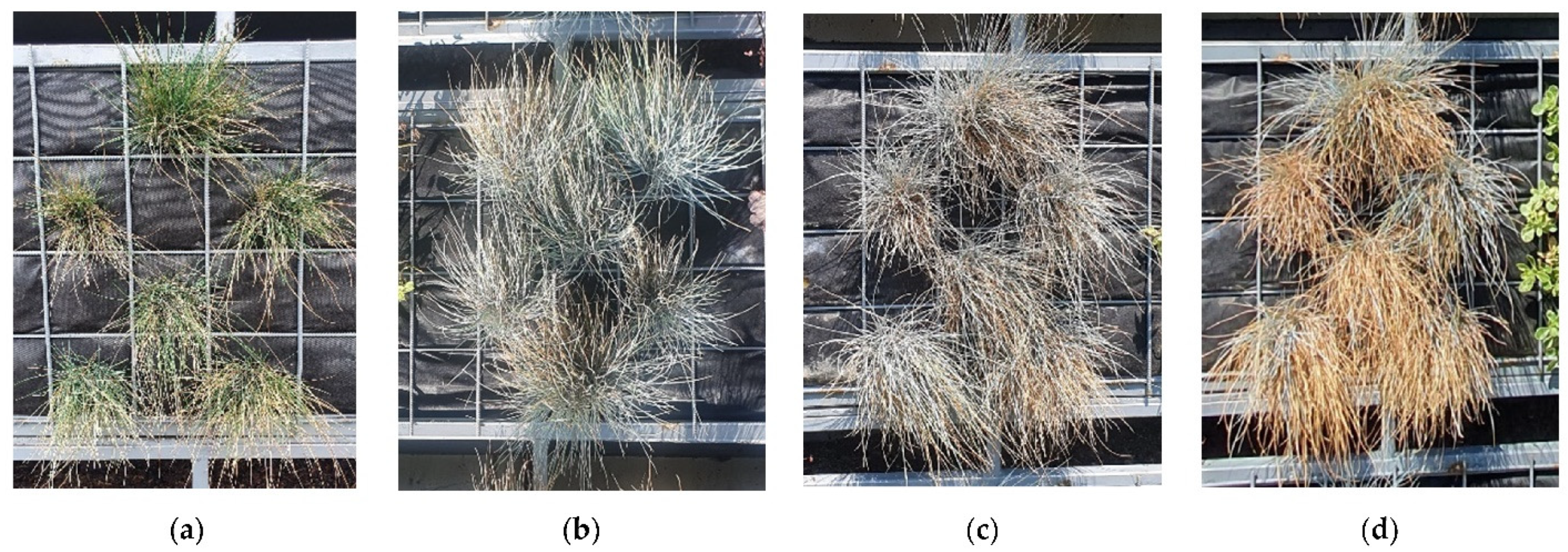 Applsci 12 00474 g010