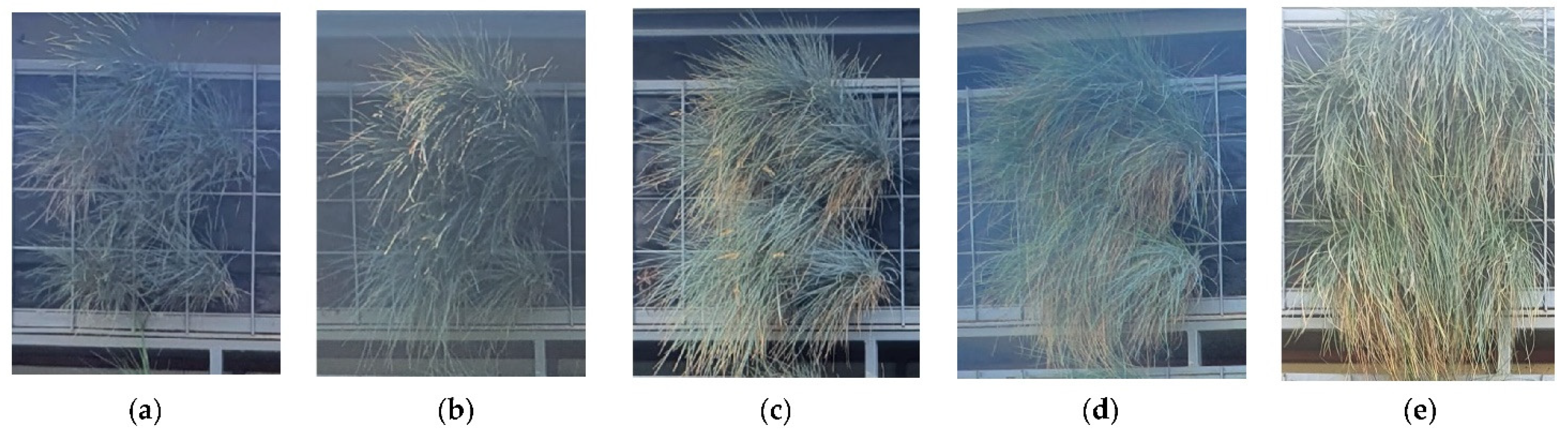 Applsci 12 00474 g011