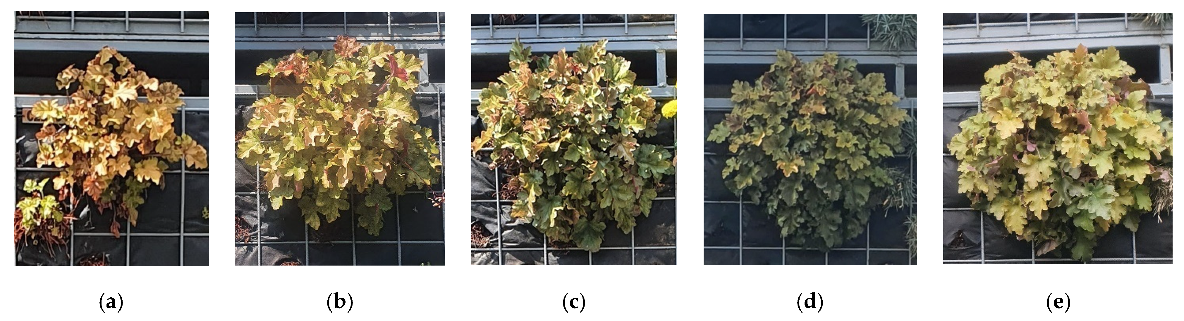 Applsci 12 00474 g013