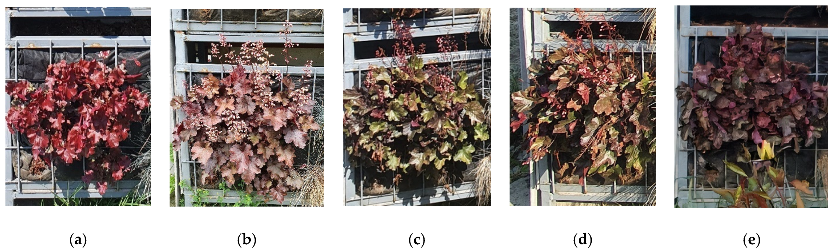 Applsci 12 00474 g016