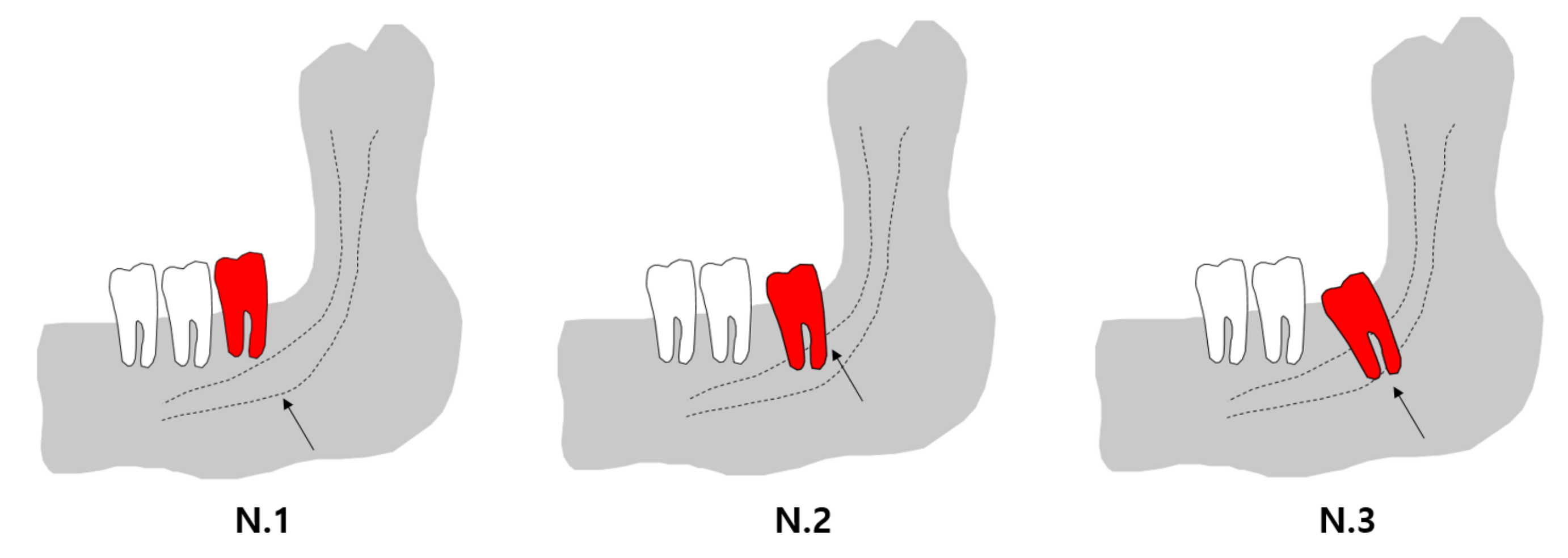 Applsci 12 00475 g005