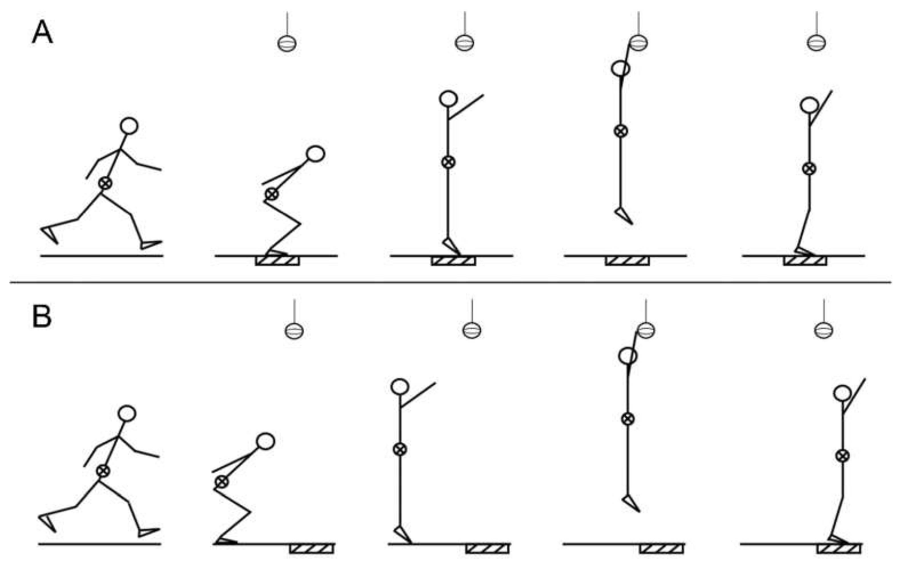 PDF) Relationship between jump height and rate of braking force