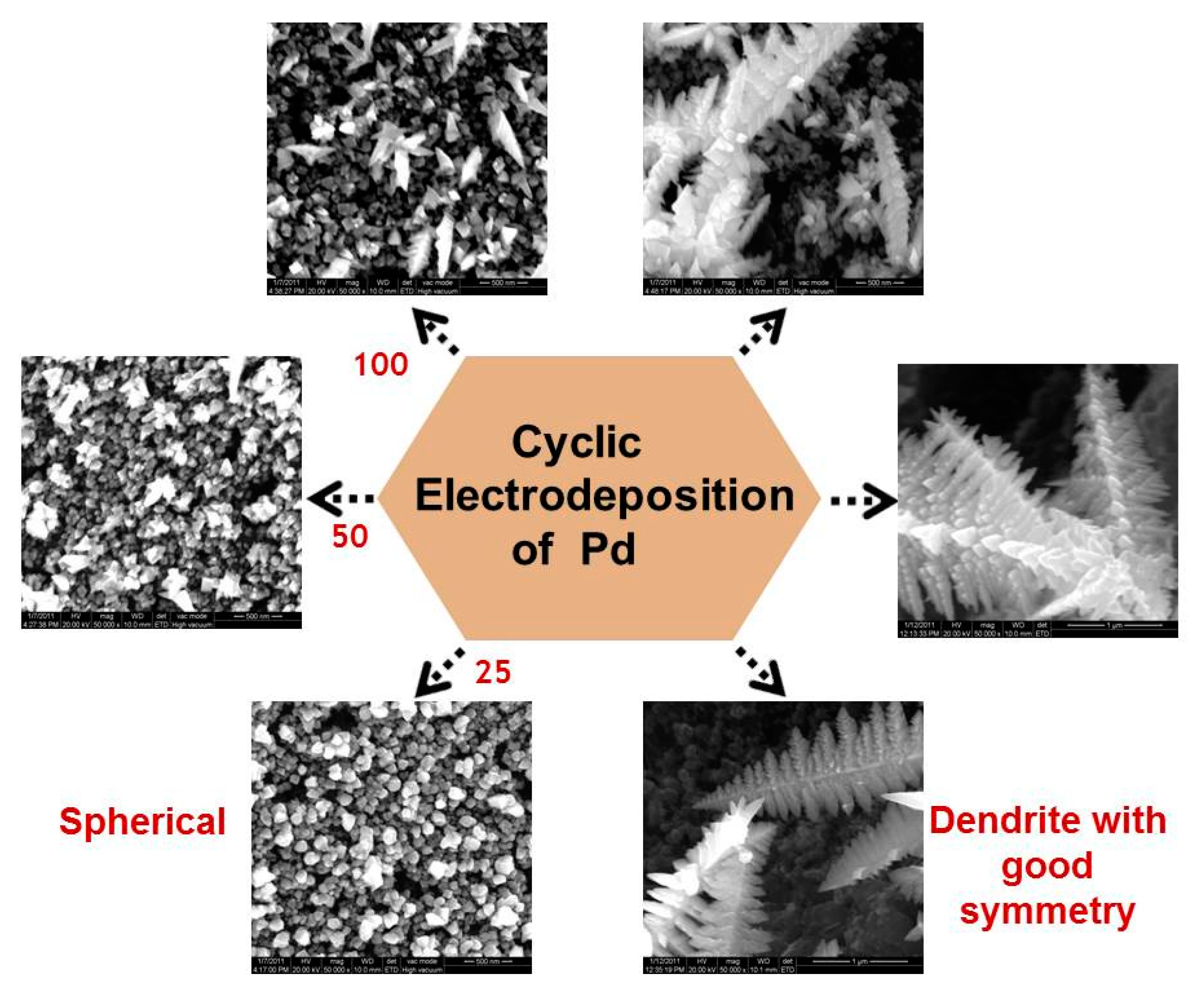 Applsci 12 00501 g007 550