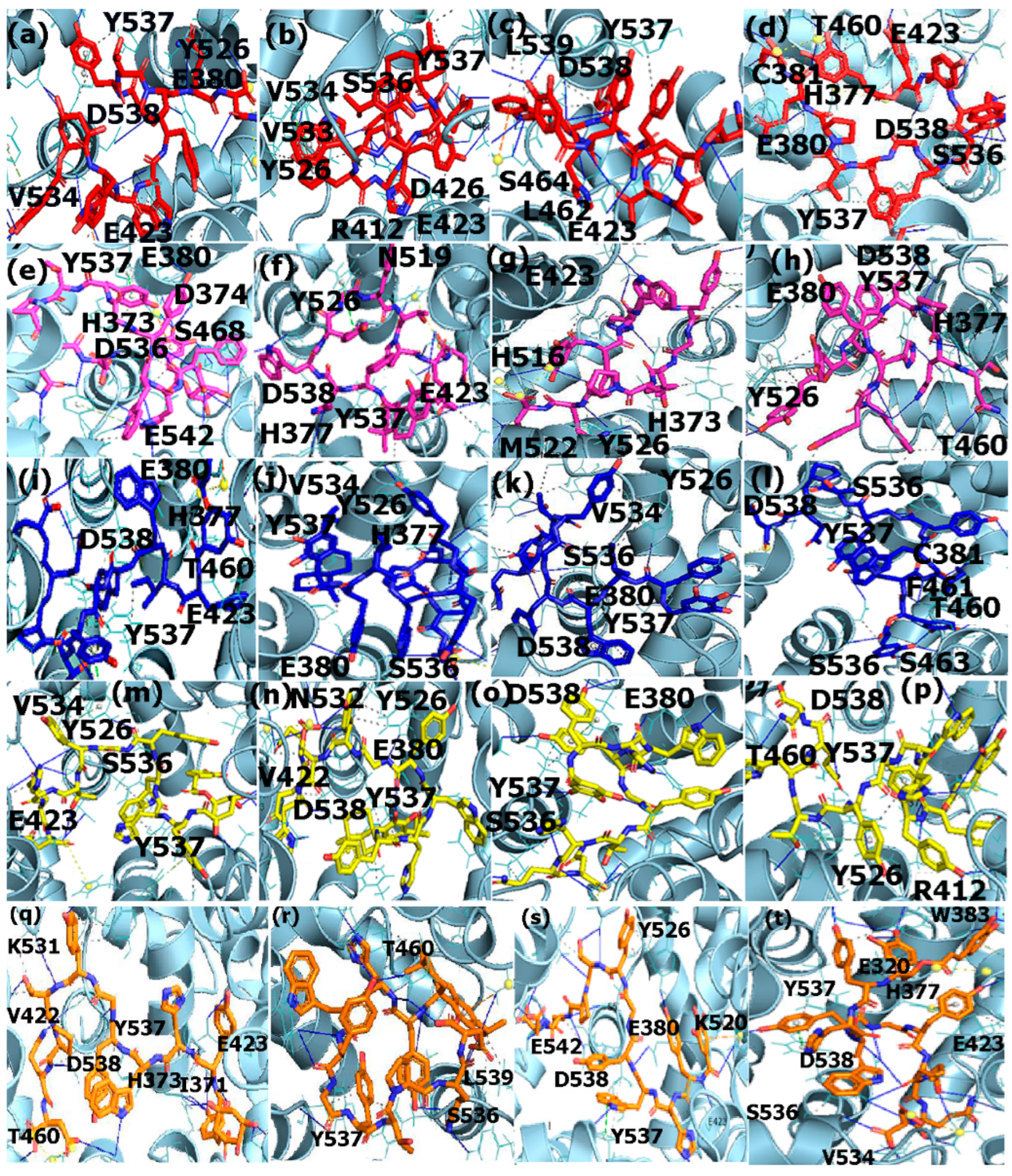 Applsci 12 00515 g003 Applsci 12 00515 g003