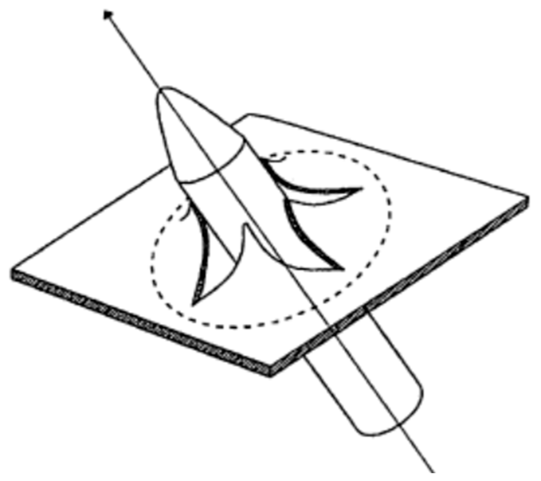 Applsci 12 00518 g003