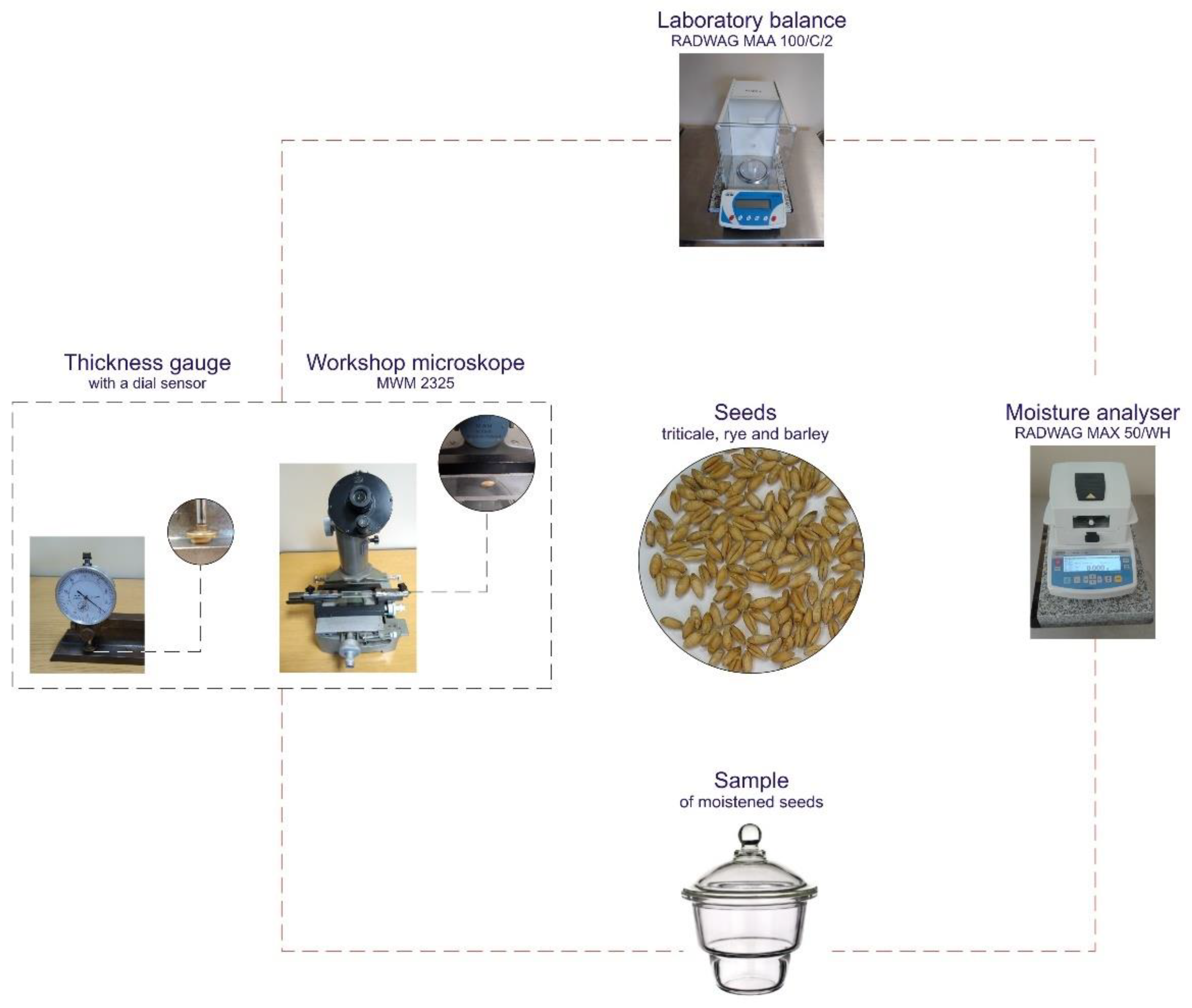 Applsci 12 00549 g002