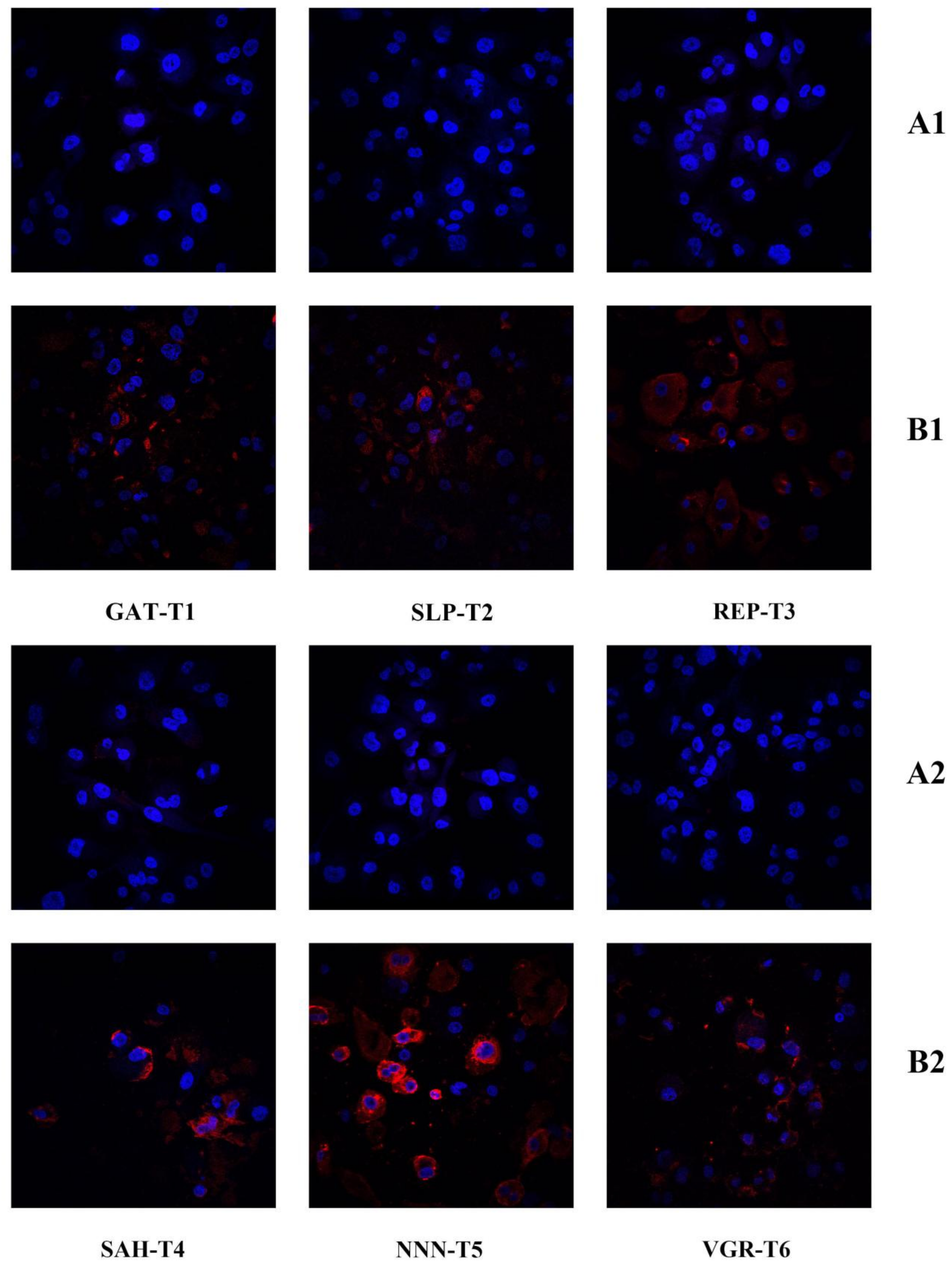 Applsci 12 00562 g008