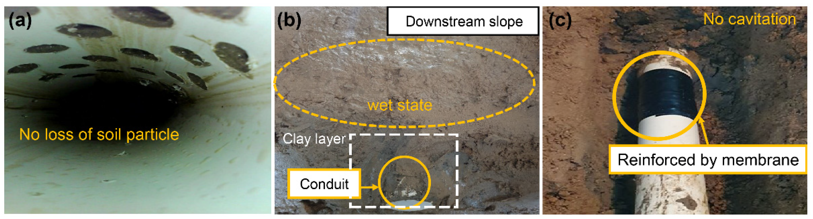 Applsci 12 00567 g004 550