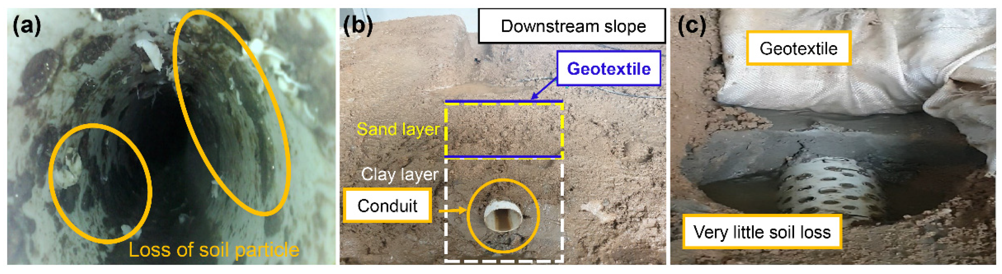 Applsci 12 00567 g005 550