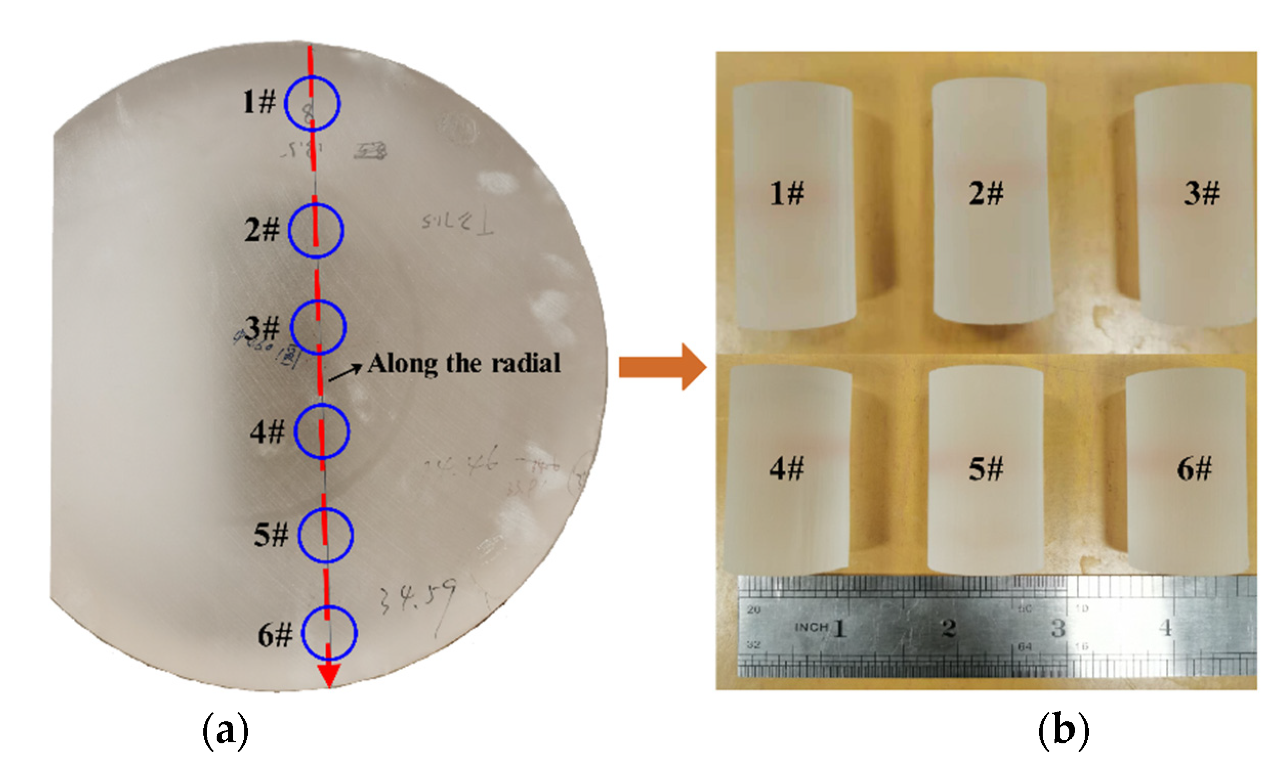 Applsci 12 00577 g003 550