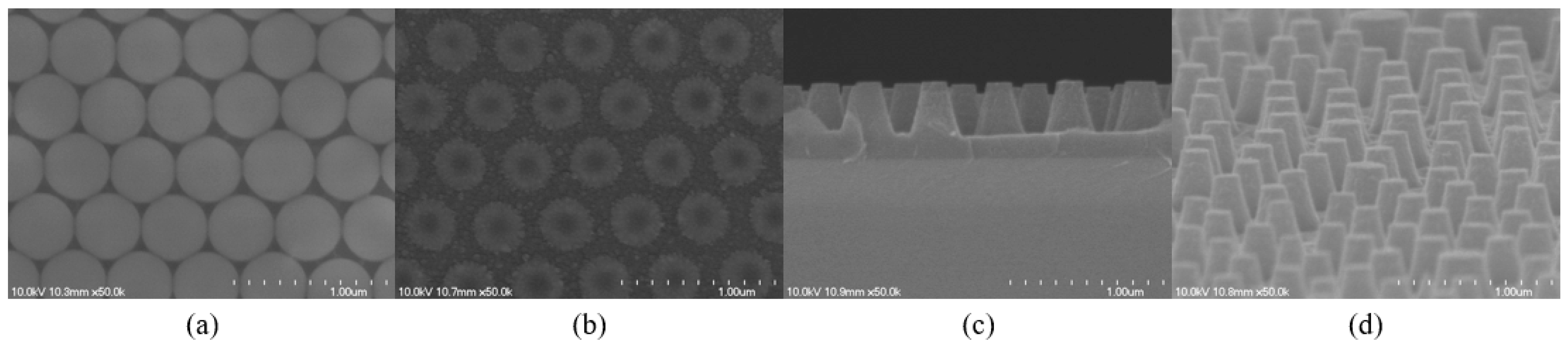 Applsci 12 00601 g003