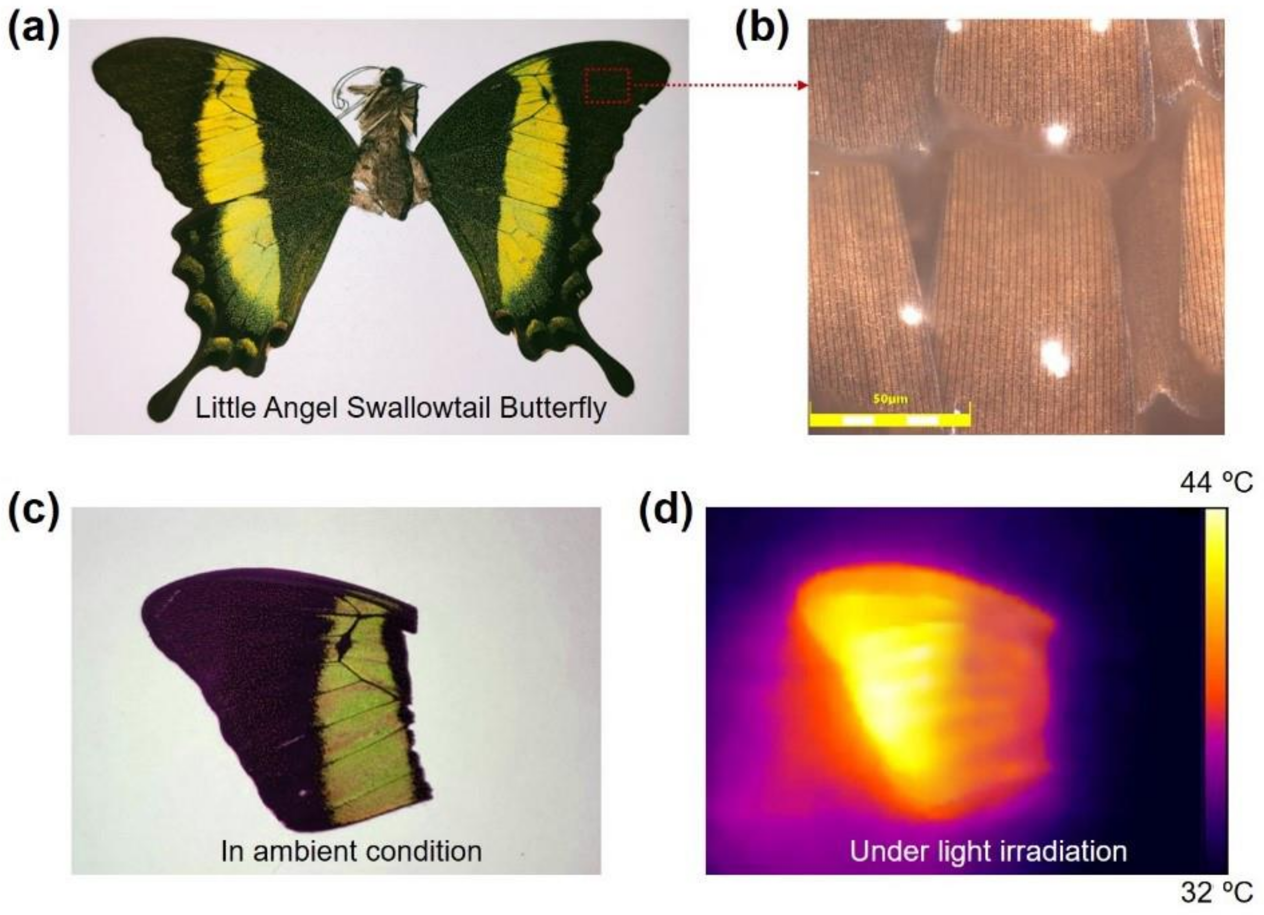 Applsci 12 00608 g002