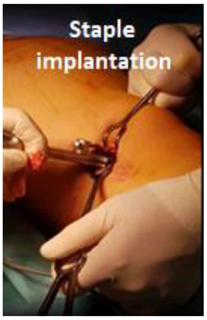 Applsci 12 00614 g003 550