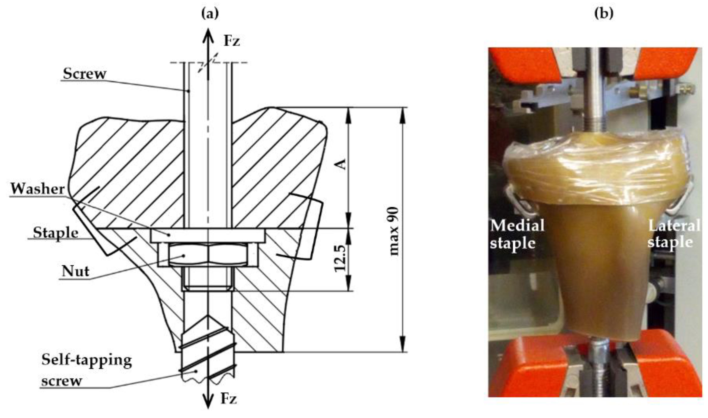 Applsci 12 00614 g012 550