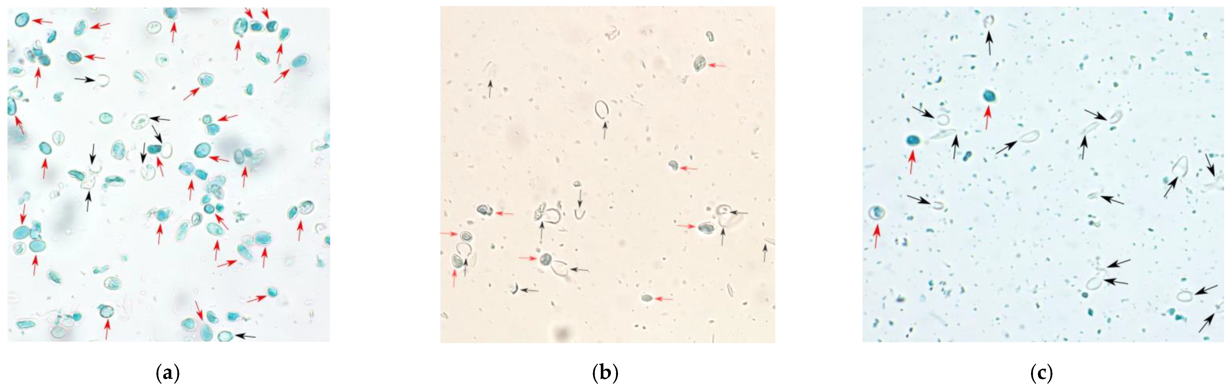 Applsci 12 00648 g004 550