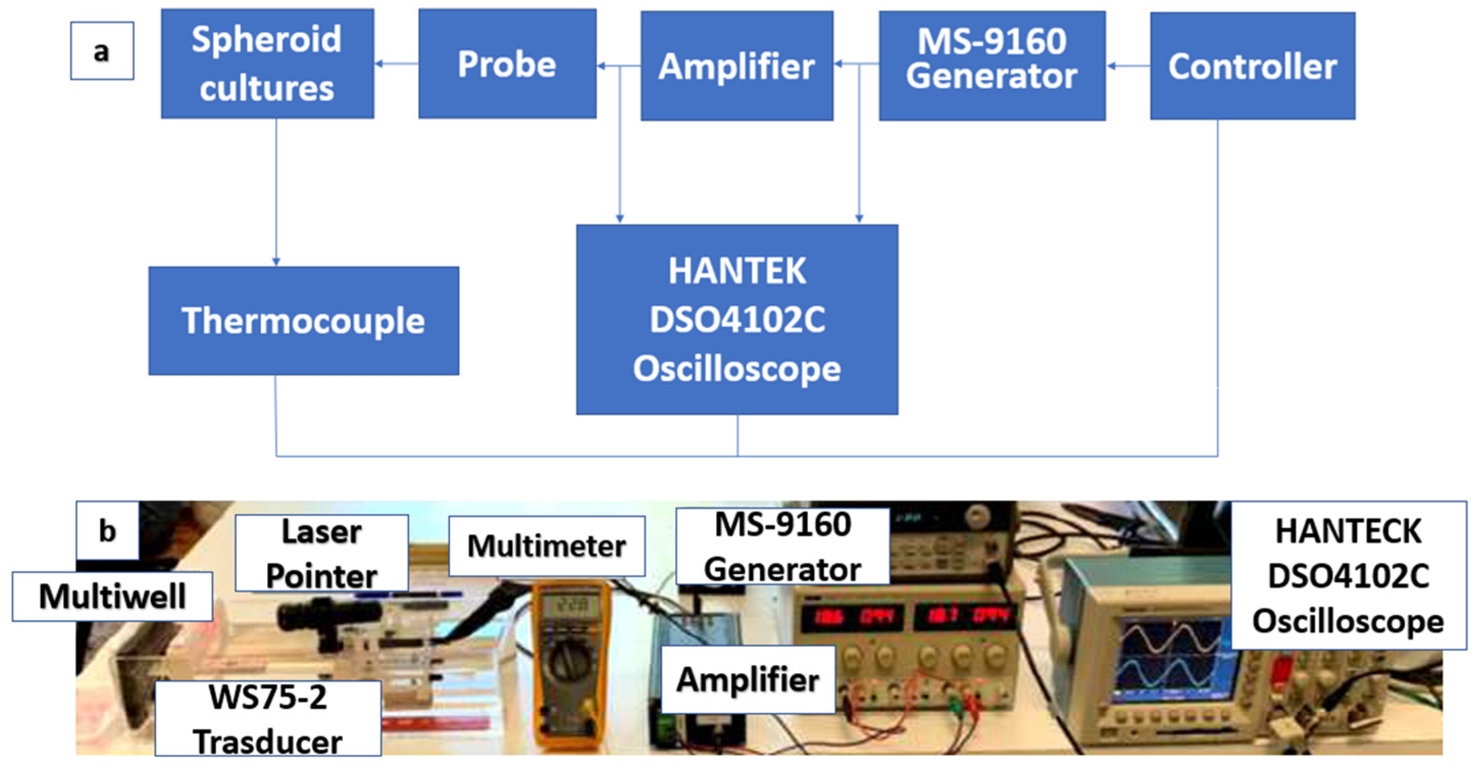 Applsci 12 00666 g001 550
