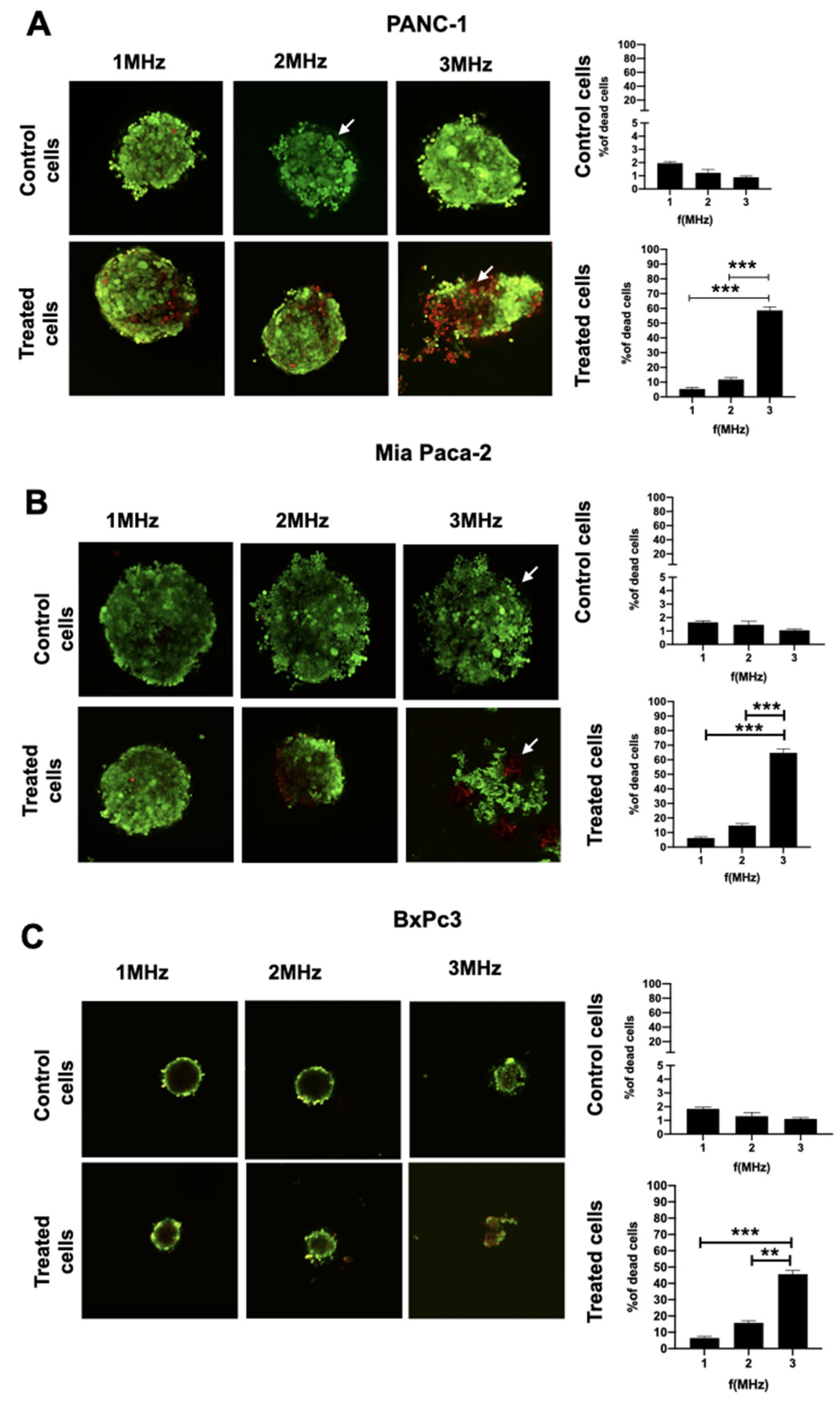 Applsci 12 00666 g007 550