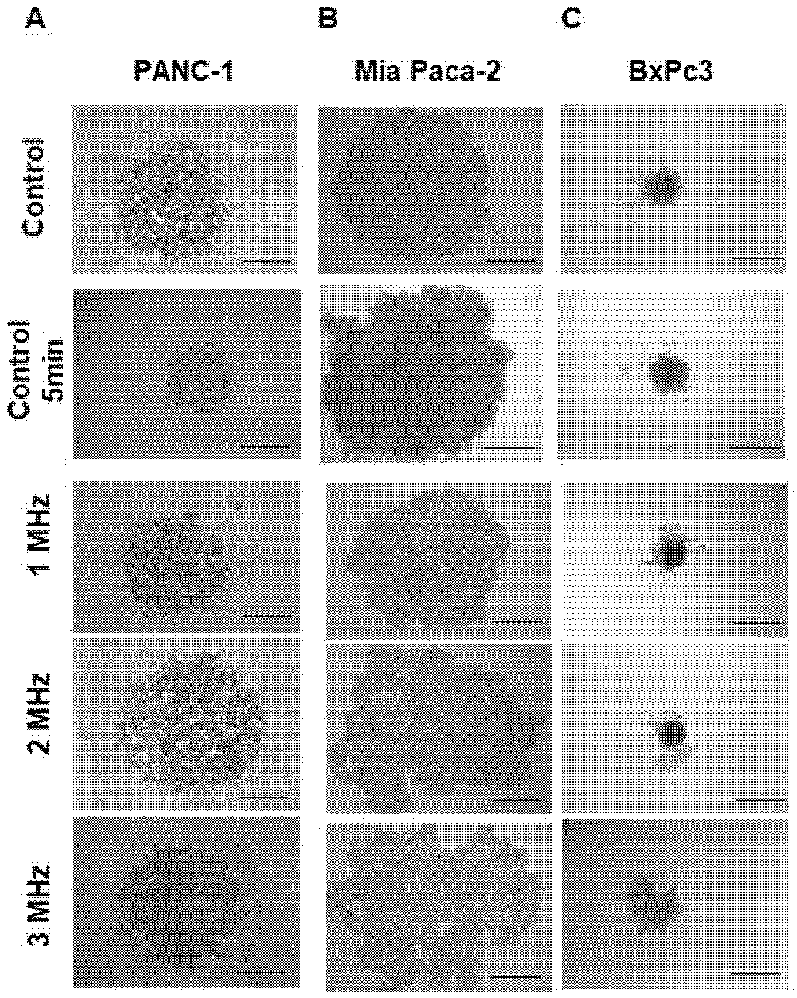 Applsci 12 00666 g008 550