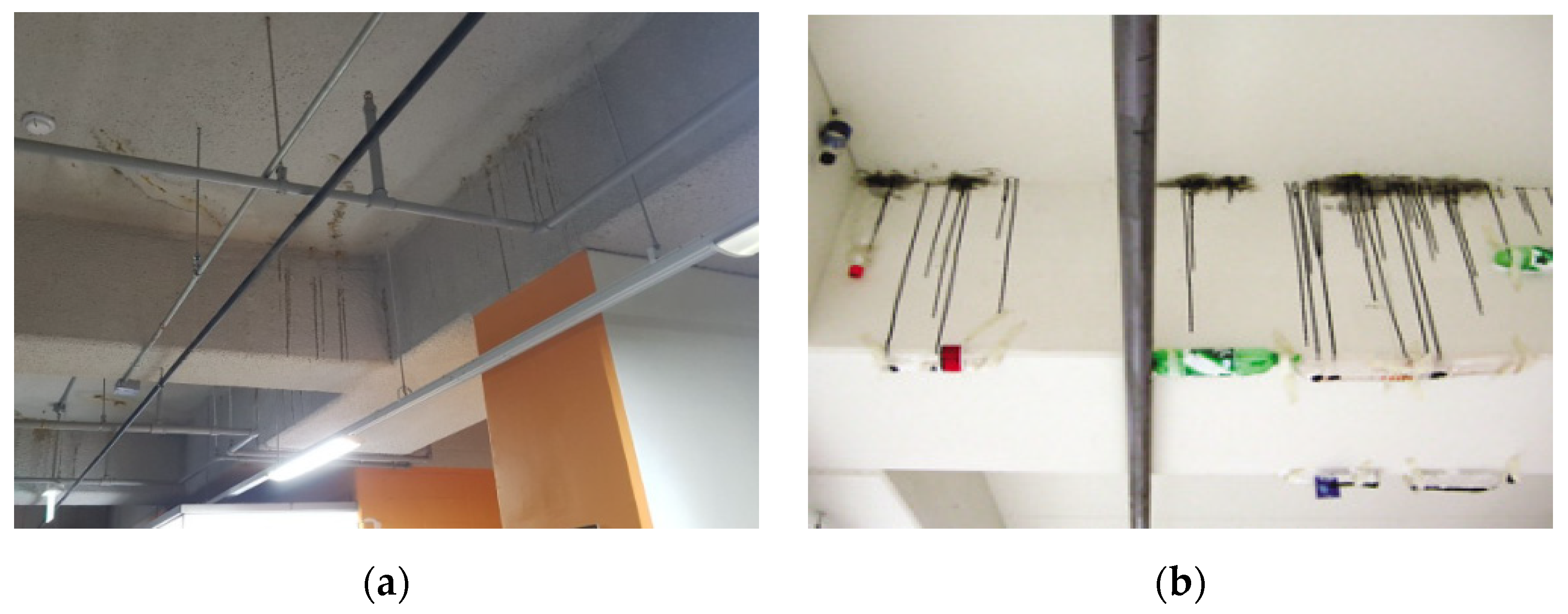 Applsci 12 00690 g001 550