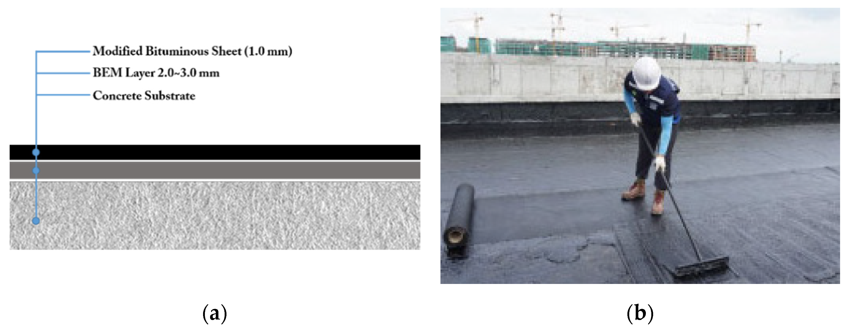 Applsci 12 00690 g003 550