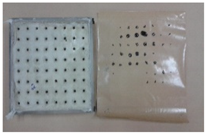 Applsci 12 00690 i029