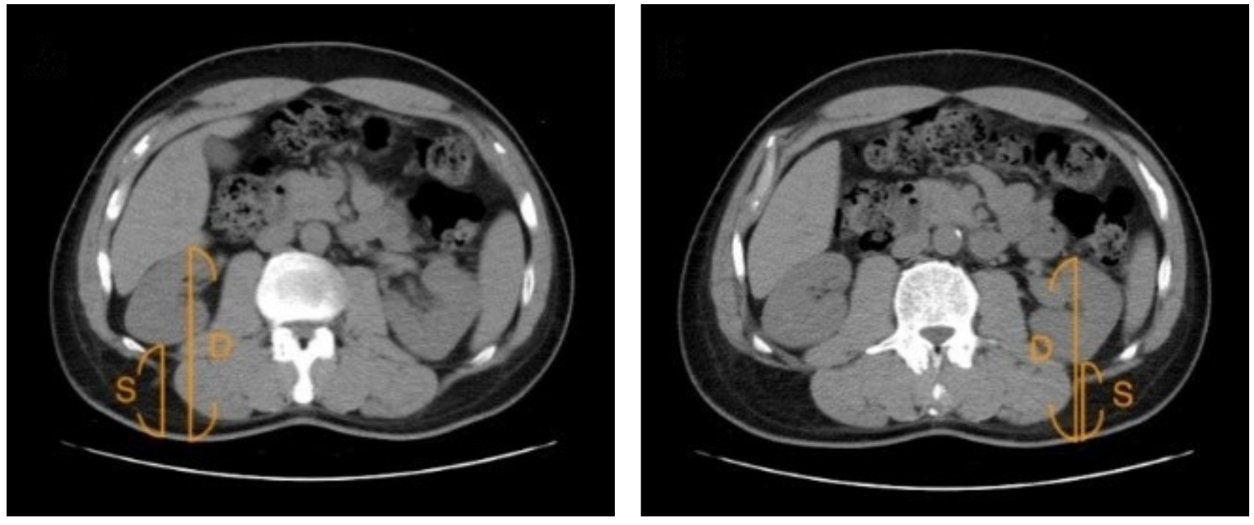 Applsci 12 00698 g002 Applsci 12 00698 g002