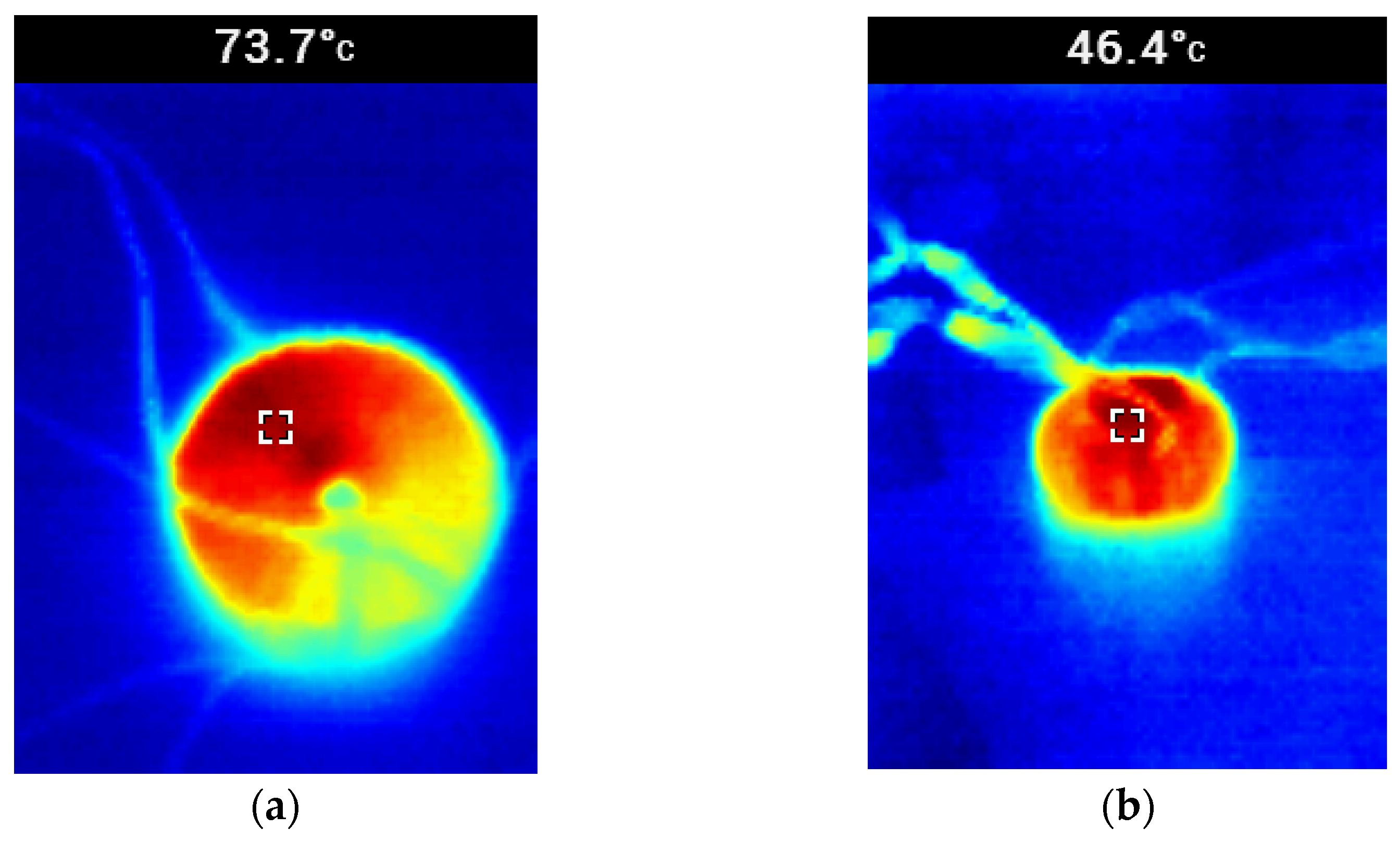 Applsci 12 00709 g016