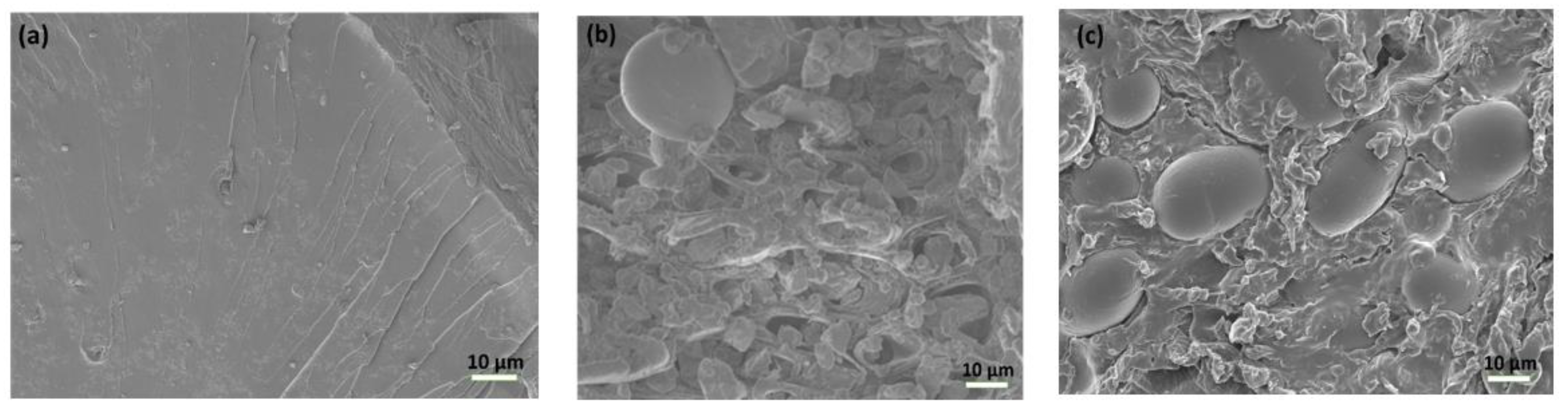 Applsci 12 00713 g002 Applsci 12 00713 g002