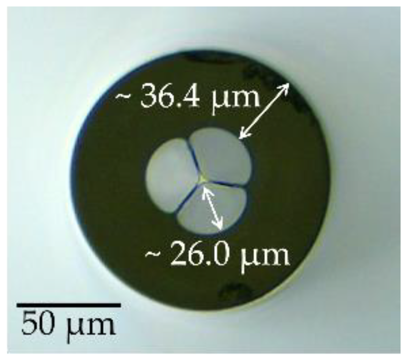 Applsci 12 00726 g001 550