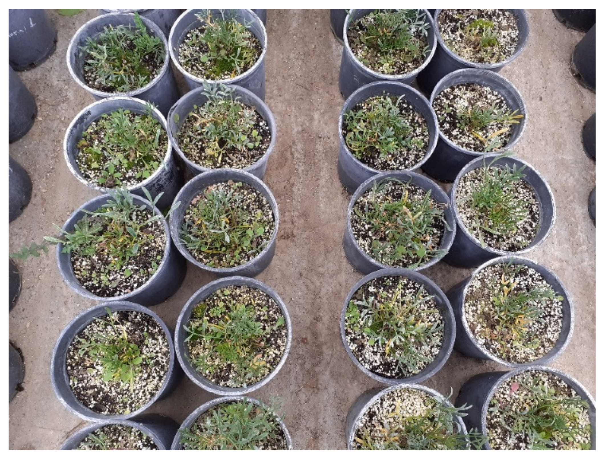 Applsci 12 00737 g002