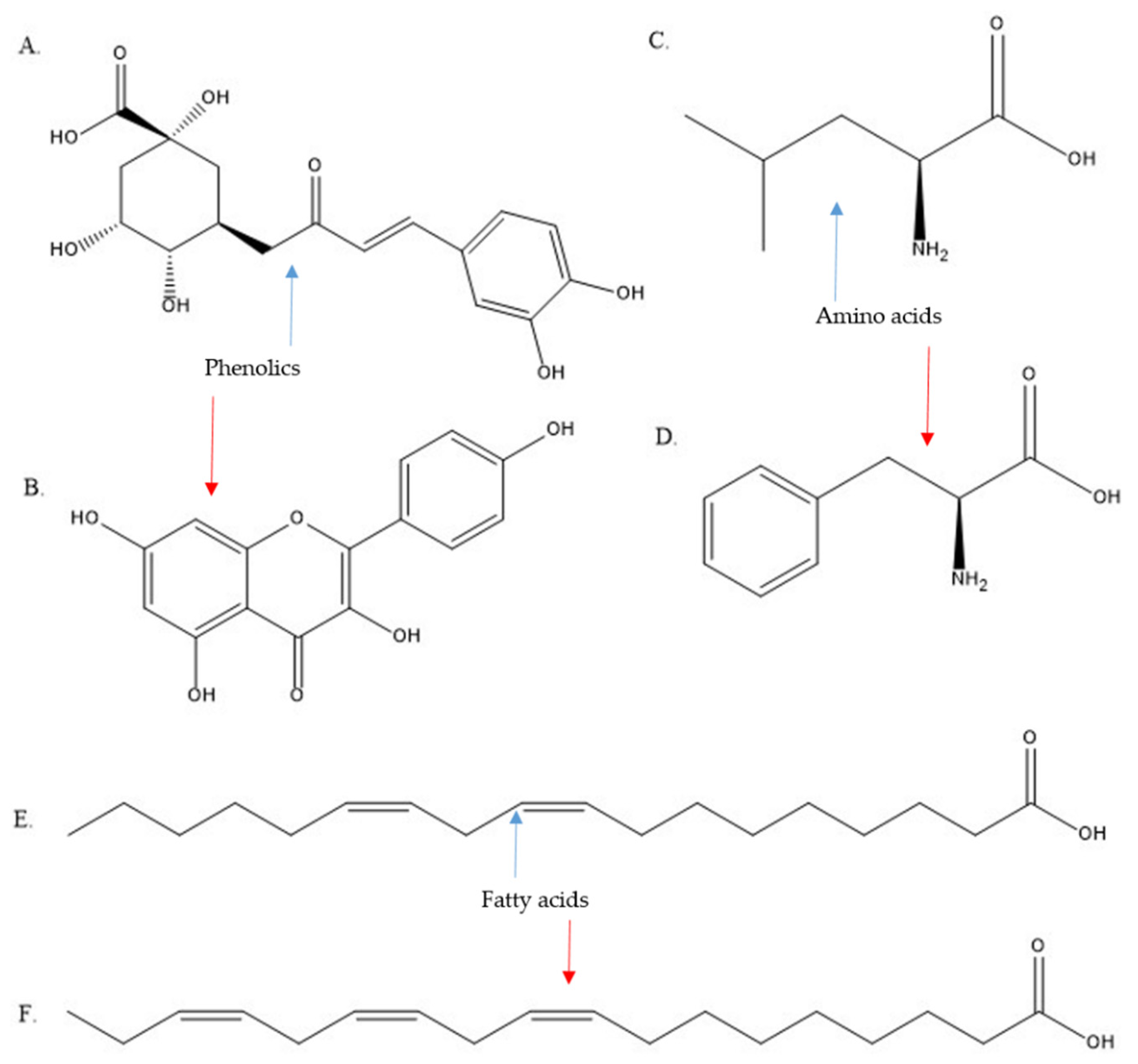 Applsci 12 00737 g004
