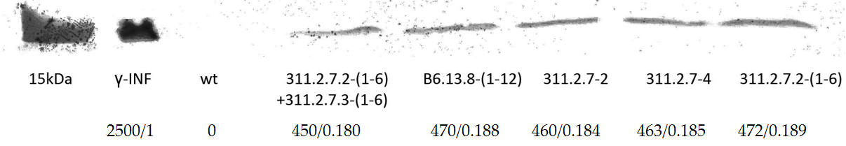 Applsci 12 00761 g001 550