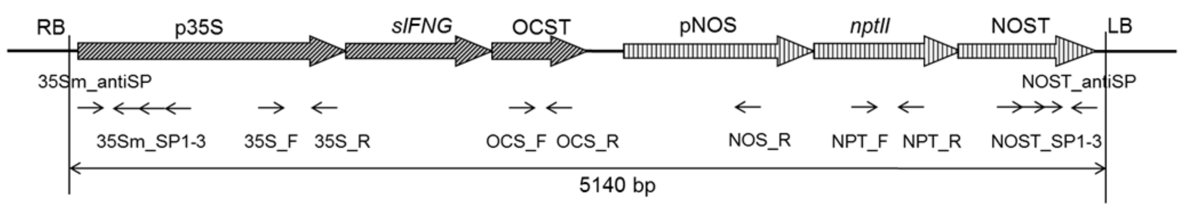 Applsci 12 00761 g003 550