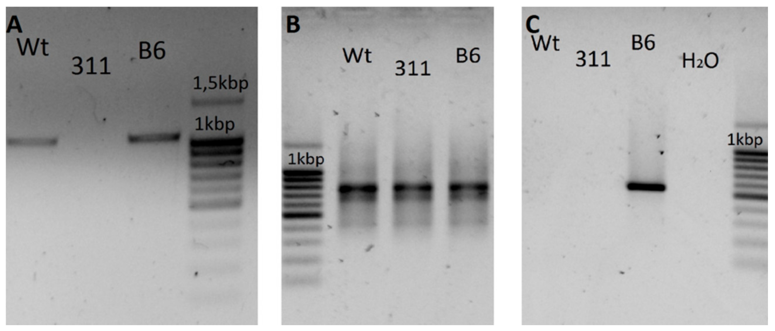 Applsci 12 00761 g005 550