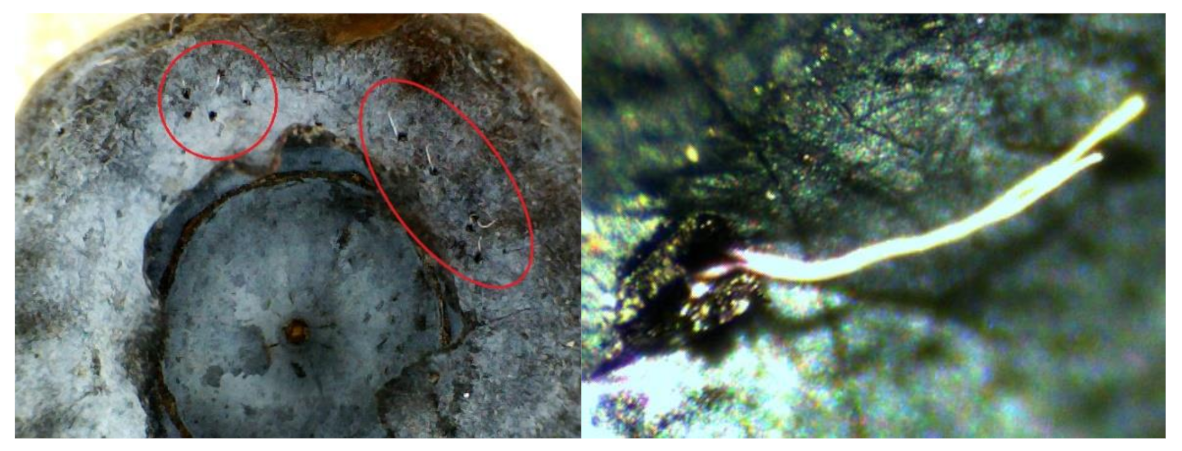 Applsci 12 00763 g002