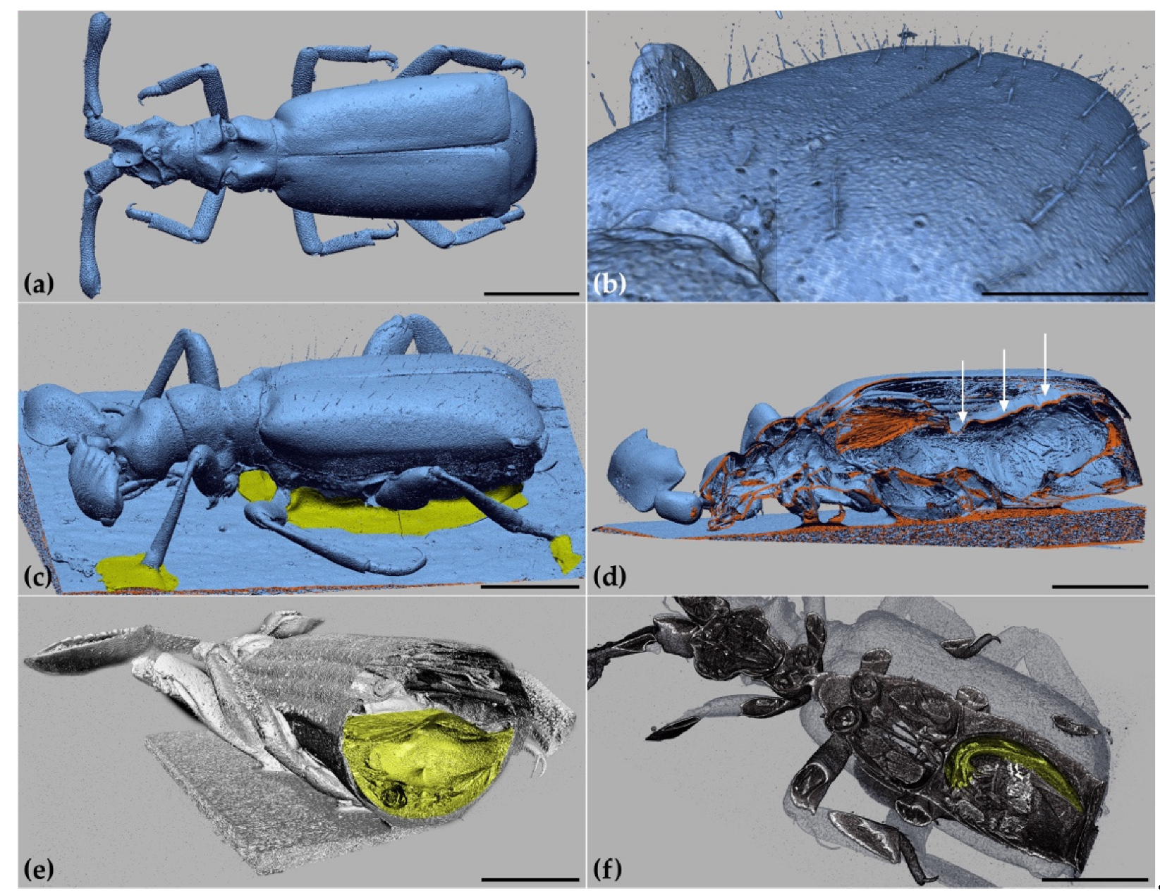 Applsci 12 00769 g002